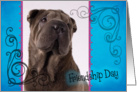 Friendship Day card featuring a Chinese Shar Pei card