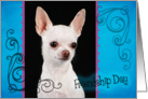 Friendship Day card featuring a white Chihuahua card