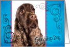 Friendship Day card featuring a liver English Cocker Spaniel card