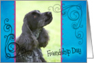 Friendship Day card featuring a blue roan English Cocker Spaniel card