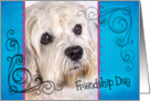Friendship Day card featuring a Dandie Dinmont Terrier card