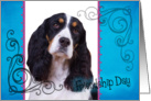 Friendship Day card featuring a black/white tri English Springer Spaniel card