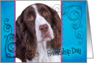 Friendship Day card featuring a liver/white English Springer Spaniel card