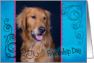 Friendship Day card featuring a Golden Retriever card
