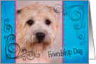 Friendship Day card featuring a Glen of Imaal Terrier card