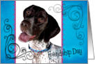 Friendship Day card featuring a German Shorthaired Pointer card