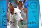 Friendship Day card featuring an Ibizan Hound card