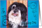 Friendship Day card featuring a Havanese card