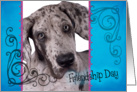 Friendship Day card featuring a Great Dane puppy card