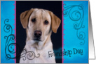 Friendship Day card featuring a yellow Labrador Retriever card