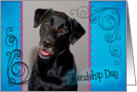 Friendship Day card featuring a black Labrador Retriever card