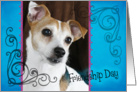 Friendship Day card featuring a Jack Russell Terrier card