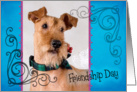 Friendship Day card featuring an Irish Terrier card