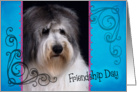 Friendship Day card featuring a Polish Lowland Sheepdog card