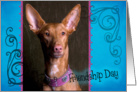 Friendship Day card featuring a Pharaoh Hound card