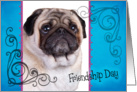 Friendship Day card featuring a Pug card