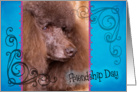 Friendship Day card featuring a brown Standard Poodle card
