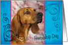 Friendship Day card featuring a Redbone Coonhound card
