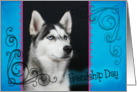 Friendship Day card featuring a Siberian Husky card