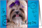 Friendship Day card featuring a Shih Tzu card