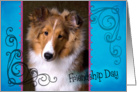 Friendship Day card featuring a Shetland Sheepdog puppy card