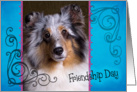 Friendship Day card featuring a blue merle Shetland Sheepdog card