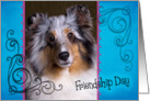 Friendship Day card featuring a blue merle Shetland Sheepdog card