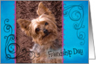 Friendship Day card featuring a Yorkshire Terrier card