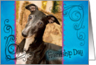 Friendship Day card featuring a Whippet card