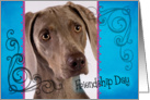 Friendship Day card featuring a Weimaraner card