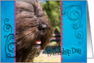 Friendship Day card featuring a Bouvier Des Flandres card