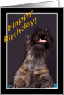 Happy Birthday - featuring a Scottish Terrier card