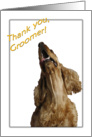 Thank you to Groomer - featuring a Cocker Spaniel card