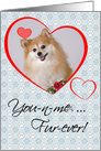 Fur-Ever Custom Photo Valentine Card