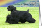 Pet Loss - Forever In Your Heart (Black Cocker Spaniel) card