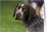 Moose the GSP card