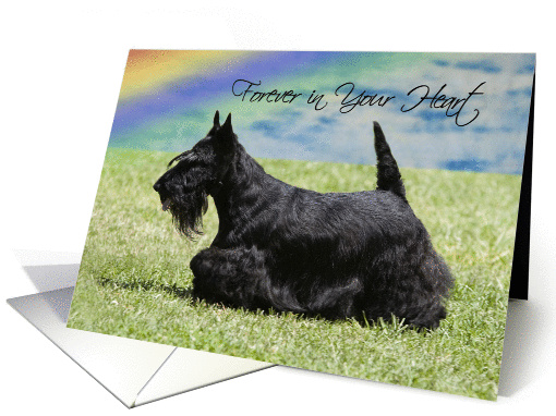 Pet Loss Sympathy Card - Forever In Your Heart card (1089702)