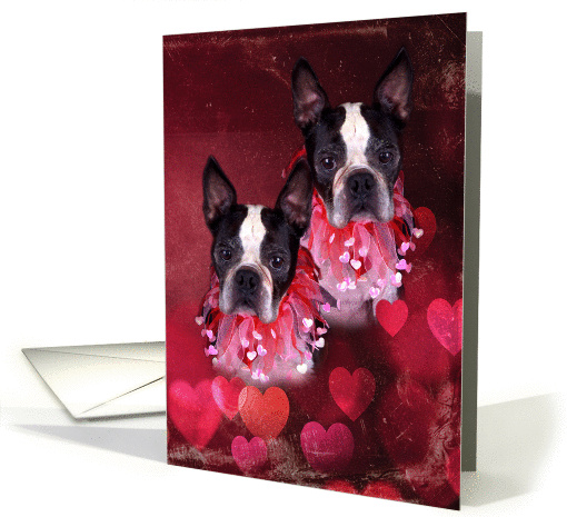 Boston Terrier Twin Valentine (Grunge Style) card (1213560)