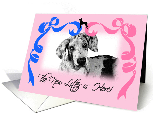 New Litter Announcement - Great Dane card (1214032)