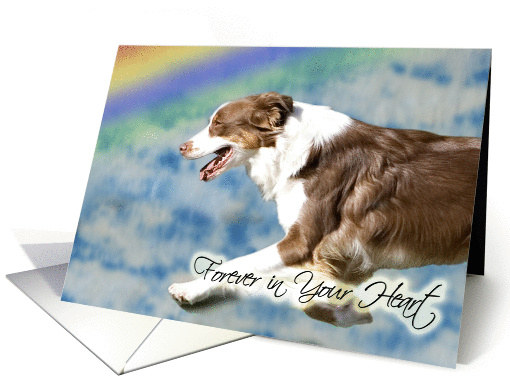 Forever In Your Heart (Pet Loss) - Australian Shepherd card (1217734)