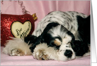 Indie the American Cocker Spaniel tired of all the Love card