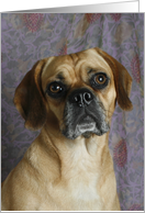 Maya the Puggle card