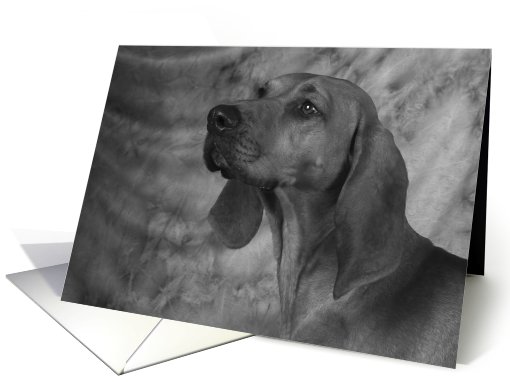 Jethro the Redbone Coonhound card (424534)