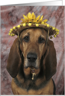 Lola the Bloodhound in a Yellow Daisy Straw Hat card