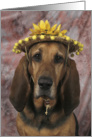 Lola the Bloodhound in a Yellow Daisy Straw Hat card