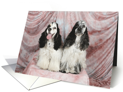 Indie and Bennett the American Cocker Spaniels card (426306)