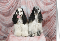 Indie and Bennett the American Cocker Spaniels card