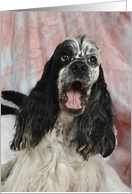 Bennett the American Cocker Spaniel card