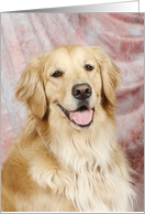 Sari the Golden Retriever card