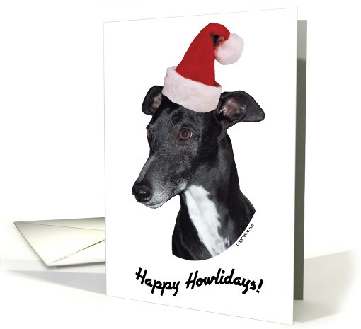 Happy Howlidays Christmas Card - Whippet card (498573)